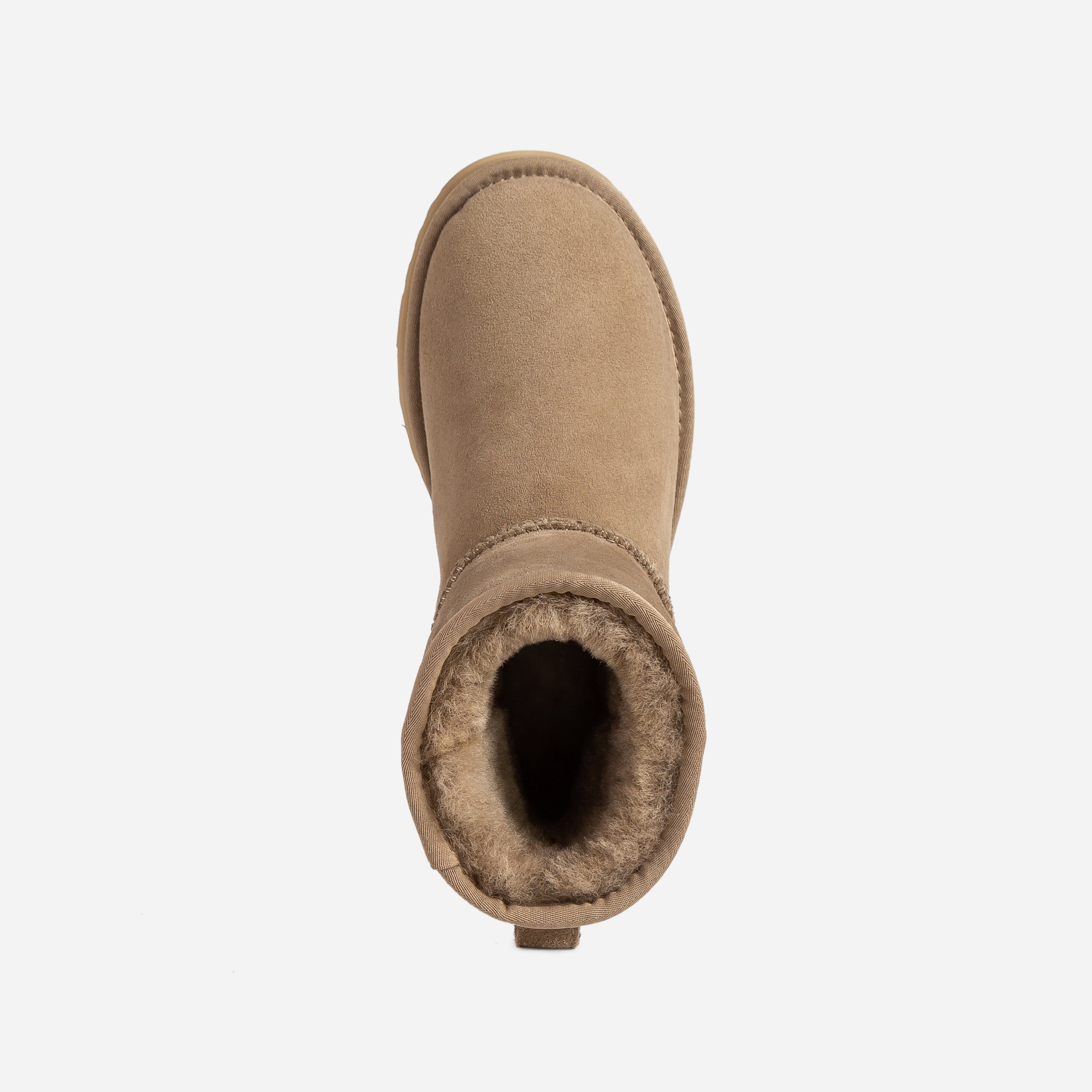 Ugg Classic Platform Mini Boots (Water Resistant)